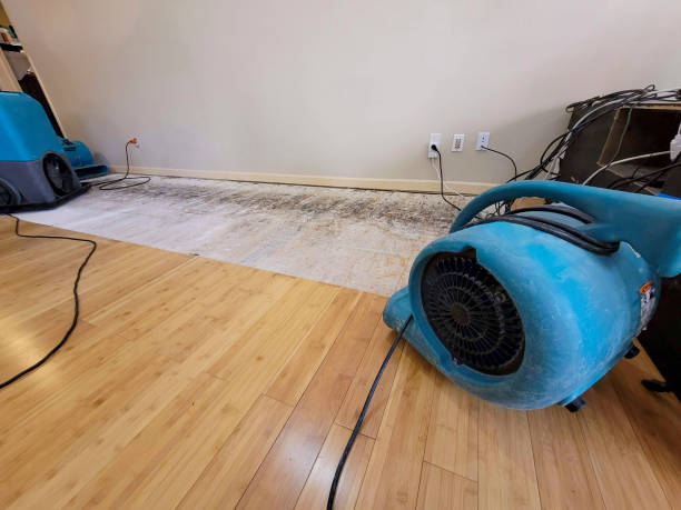 Professional Basement Flood Cleanup technician working in Roxana, IL